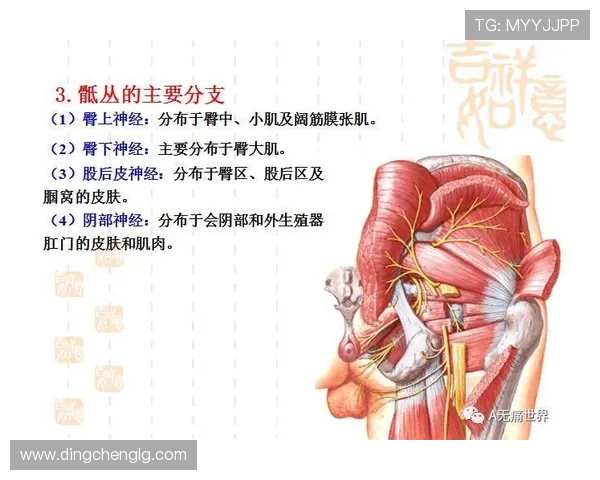 乔治接受左膝关节镜手术后训练营前进行全面评估准备恢复计划